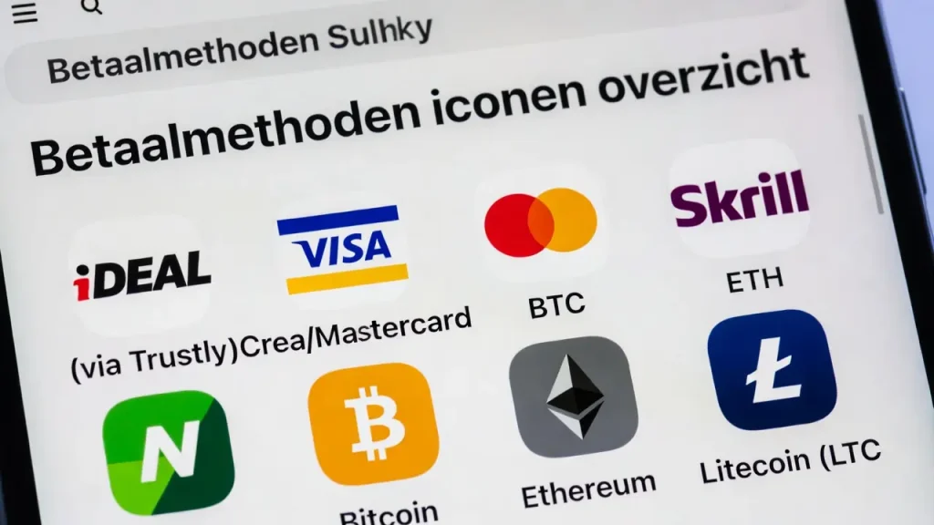 betaalmethoden iconen overzicht